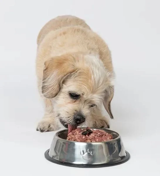 The K9 Kitchen Chicken & Duck Raw Complete Dog Food