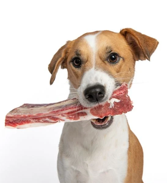 The K9 Kitchen Beef Ribs Dog Treats 300G