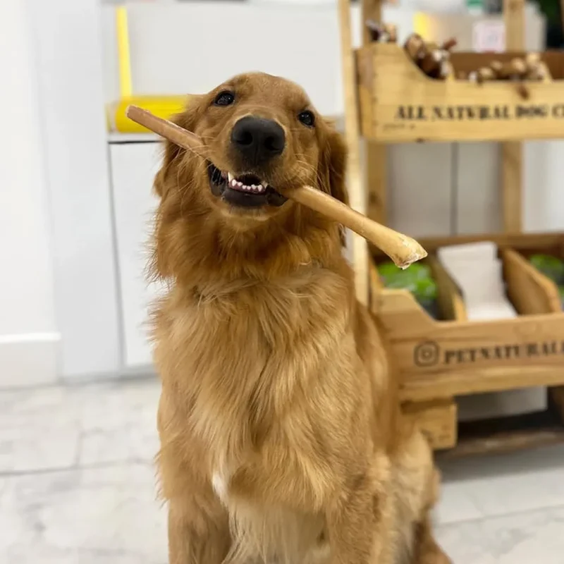 Pet Natural Farm 12" Bully Stick Dog Dental Treats