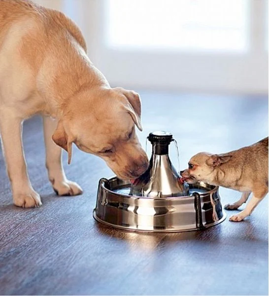 Drinkwell 360 Stainless Steel Water Fountain for Dogs & Cats 3.8L