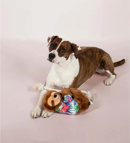 PetShop by Fringe Studio Hangin Around Summer Sloth Plush Dog Toy 10.16cm