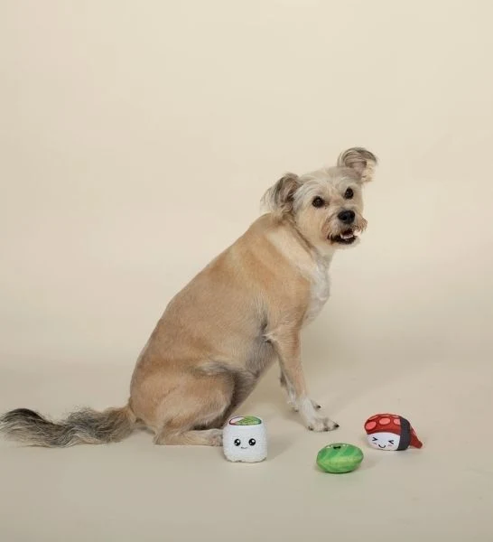 PetShop by Fringe Studio Sushiholic 3pcs Mini Dog Toy 4x4"