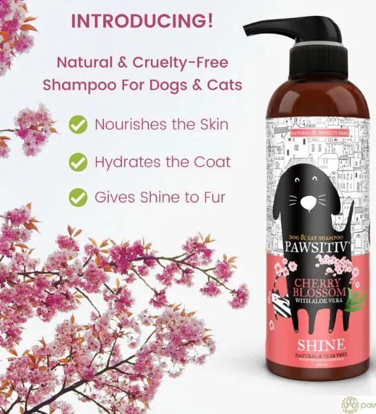 Pawsitiv Cherry Blossom with Aloe Vera Shine Shampoo 500ml