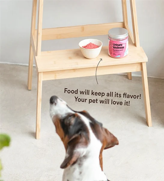 Wild Balance Urinary Wellness Supplement for Dogs & Cats 100g