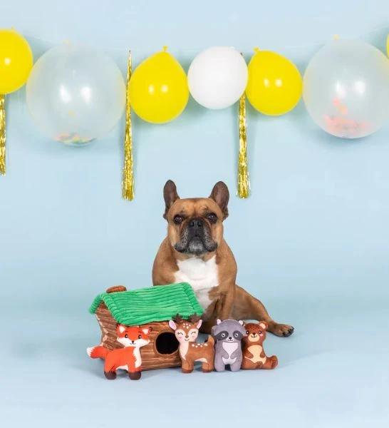 PetShop by Fringe Studio On Cabin Time Interactive Dog Toy Set 19x22cm