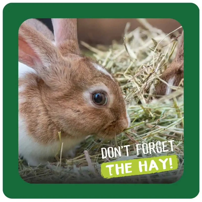Burgess Excel Dandelion & Marigold Feeding Hay for Small Pets 1KG