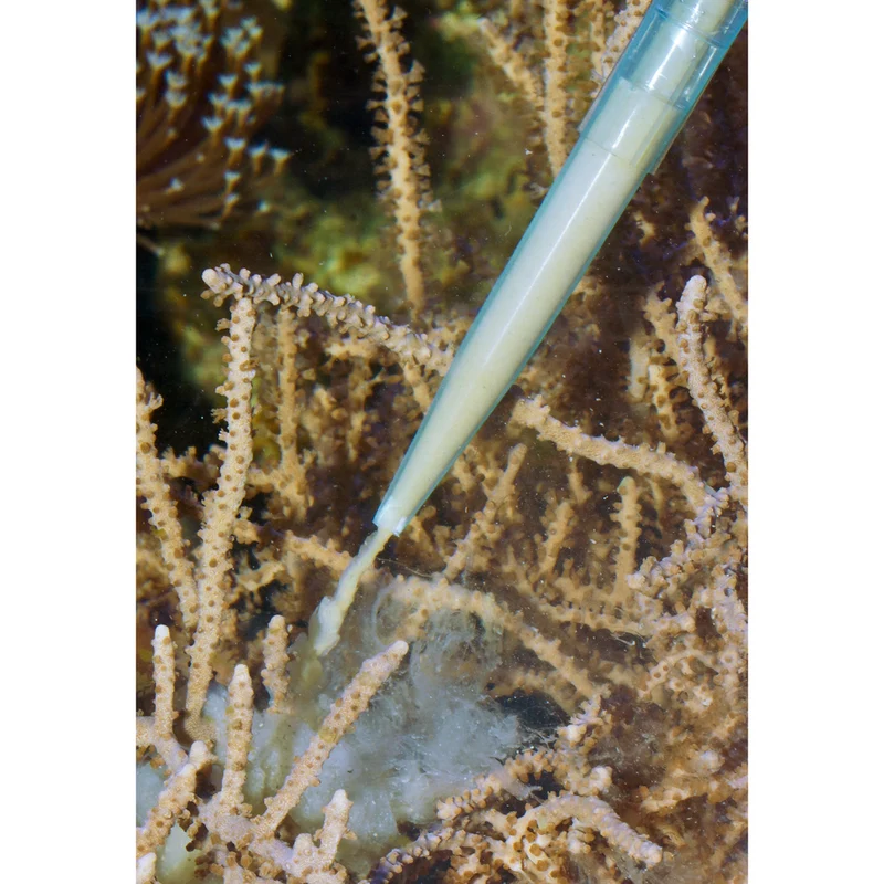 Aqua Medic Pipette Fish Feeder For Aquarium 60cm