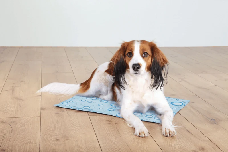 Trixie Dog Cooling Mat with Water Drops Design