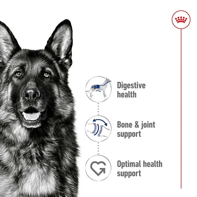 Royal Canin Maxi Adult Wet Dog Food 140G