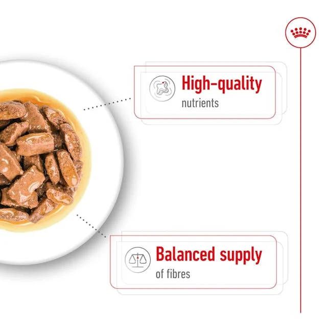 Royal Canin Maxi Adult Wet Dog Food 140G