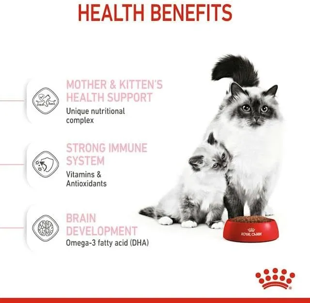 Royal Canin Mother & Babycat Dry Cat Food