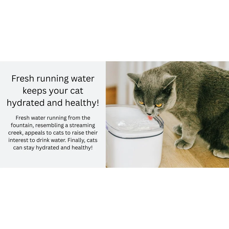 Petoneer Fresco Mini Plus Cat Smart Water Fountain 1.9L