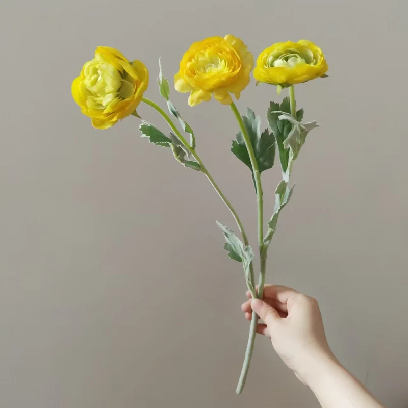 Lifelike Ranunculus Blütenstängel