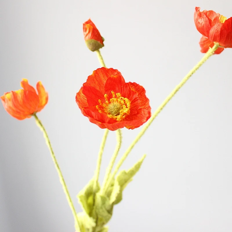 Lebensechte Mohnblumenstiel