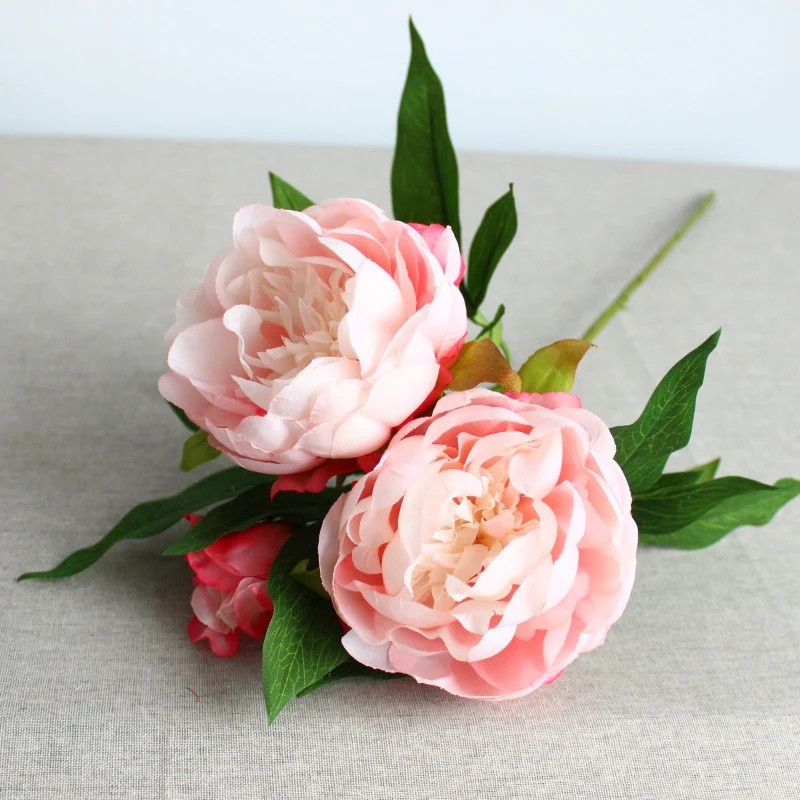 Lebensechte Pfingstrose Blumensamen