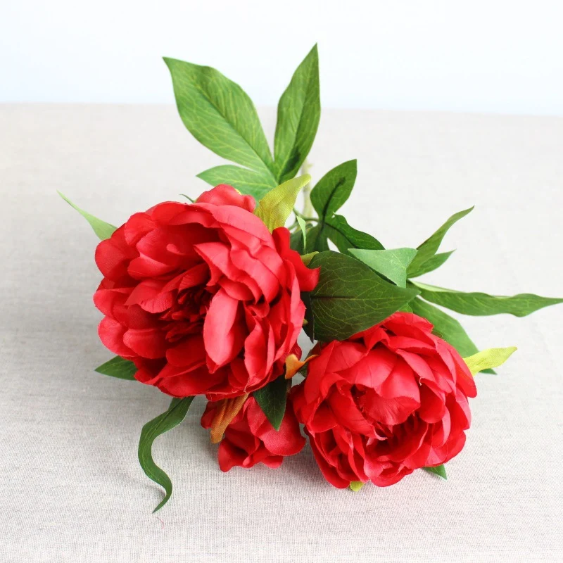 Lebensechte Pfingstrose Blumensamen