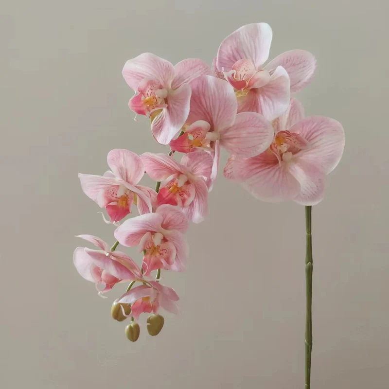 Lebensnahe Orchideenblüten-Ranke