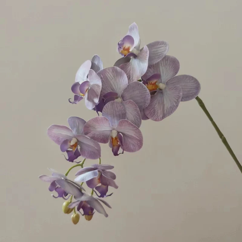 Lebensnahe Orchideenblüten-Ranke