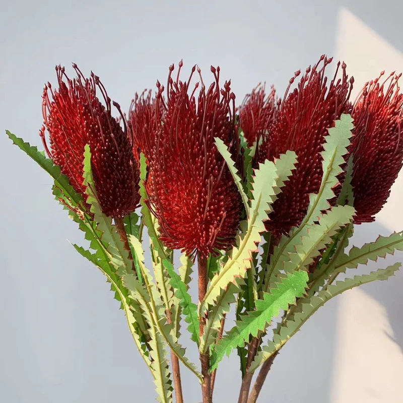 Lebensechte einheimische australische Blumenstängel