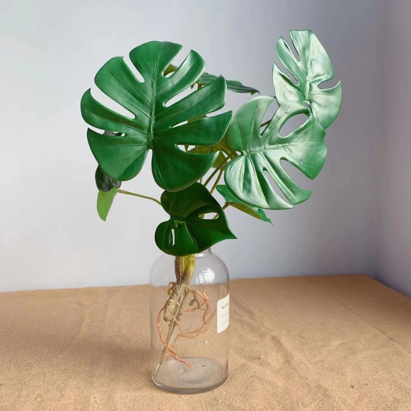 Lebensechte Monstera Pflanzenanordnung