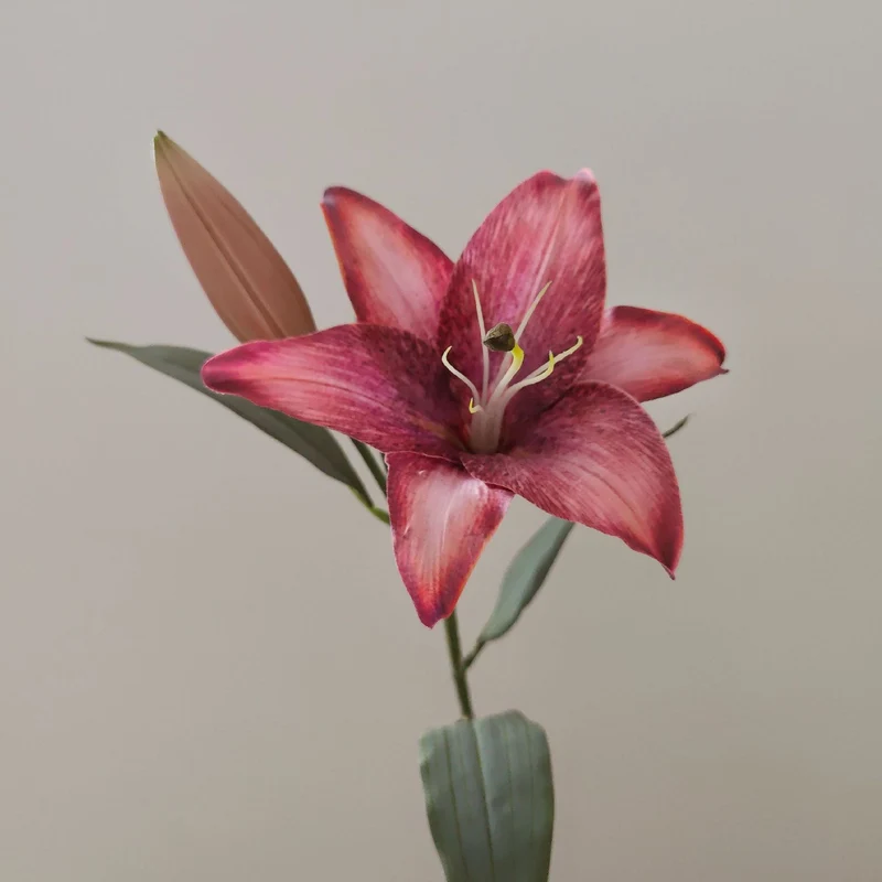 Lebensechte Lilienstiel