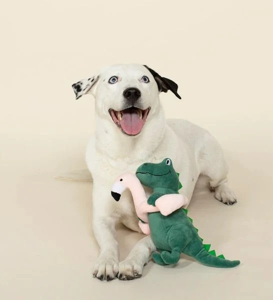 PetShop by Fringe Studio Pool Time Rex Pet Toy 10X9.5