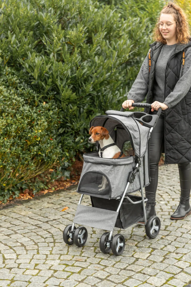 Trixie Buggy Stroller for Dogs & Cats 47x100x80cm
