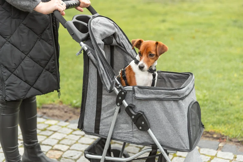 Trixie Buggy Stroller for Dogs & Cats 47x100x80cm