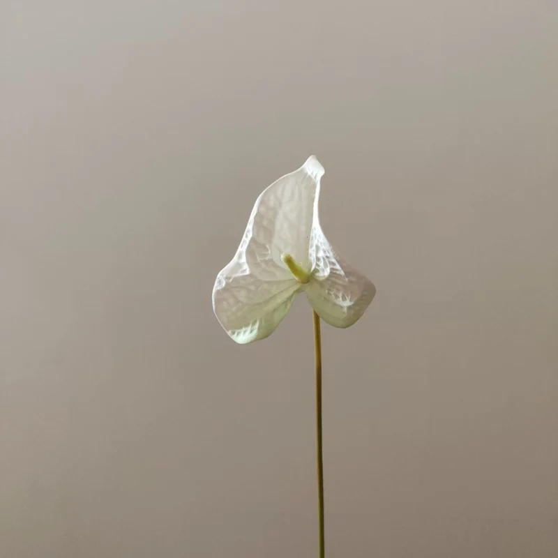 Herzförmiges Blatt Blumenständer