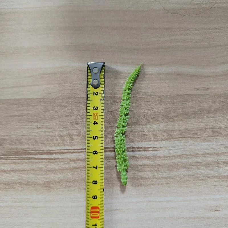 Gartenwerkzeug