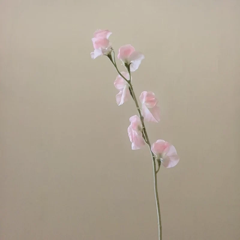 Elegante Seide Sweet Pea Stiel