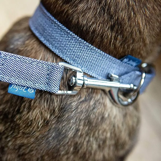Project Blu Bengal Recycled Collar For Dogs - Eco-friendly