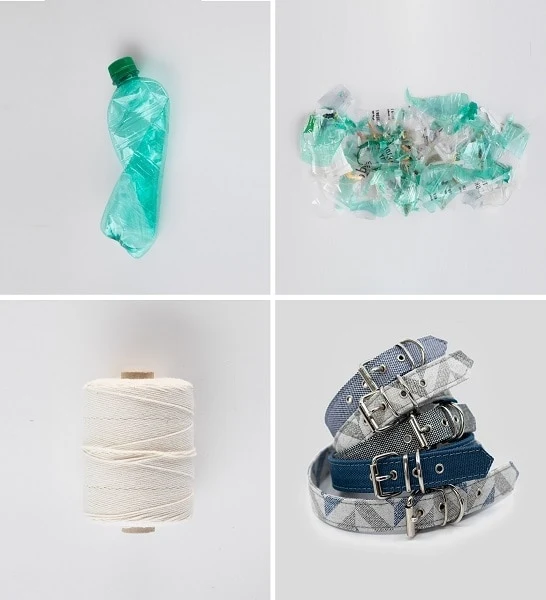 Project Blu Adriatic Recycled Collar For Dogs - Eco-friendly