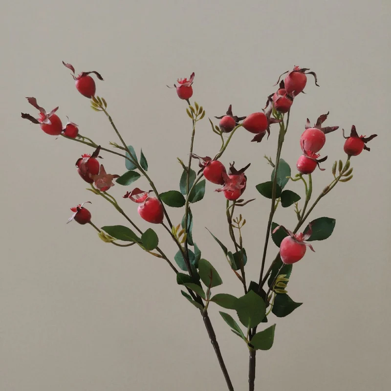 Dekorativer natürlicher getrockneter Blumenstiel