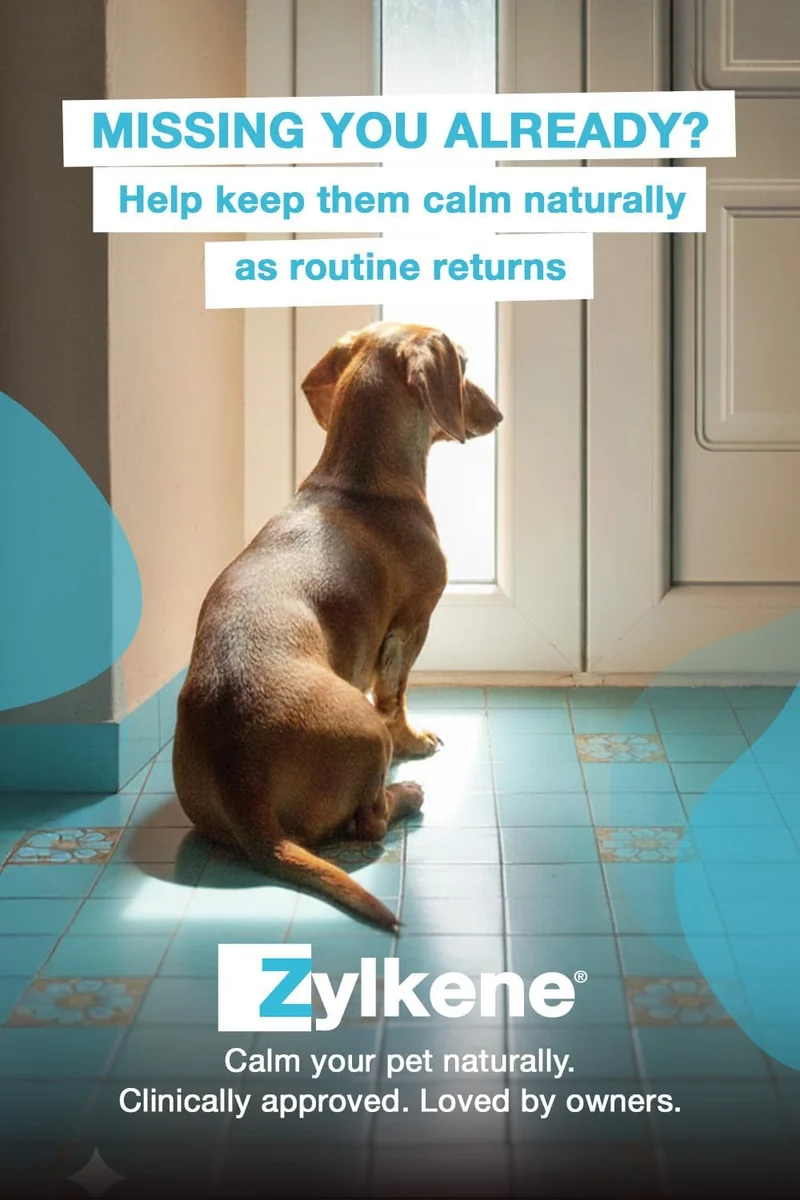 Vetoquinol Zylkene Supplement for Medium Dogs 225mg 20 Capsules