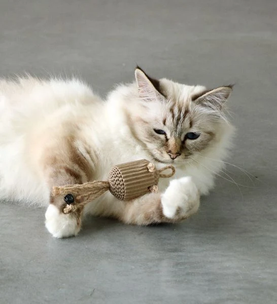 D&D Home I Love Happy Cats Pahvi Cardboard Cat Toy 16x3x3cm