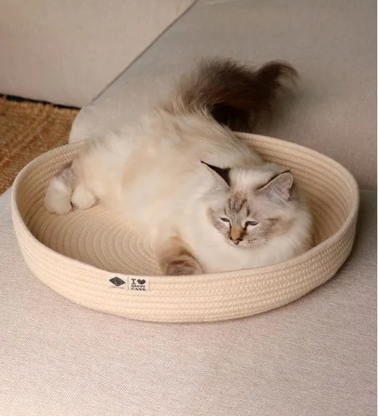 D&D Home I Love Happy Cats Jess Cat Cotton Rope Basket Bed