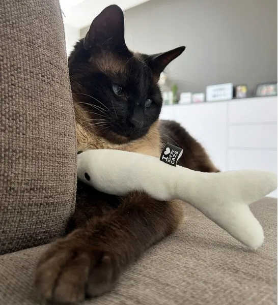 D&D Home I Love Happy Cats Finn Fish Kicking Cushion Cat Toy 20x6x3cm
