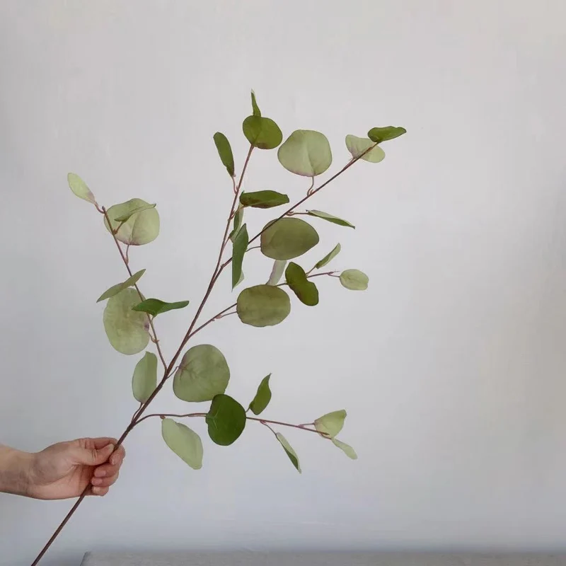 Dekorativer Eukalyptus-Stiel