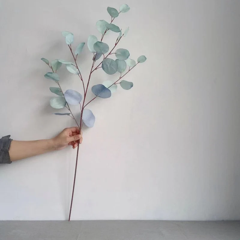 Dekorativer Eukalyptus-Stiel