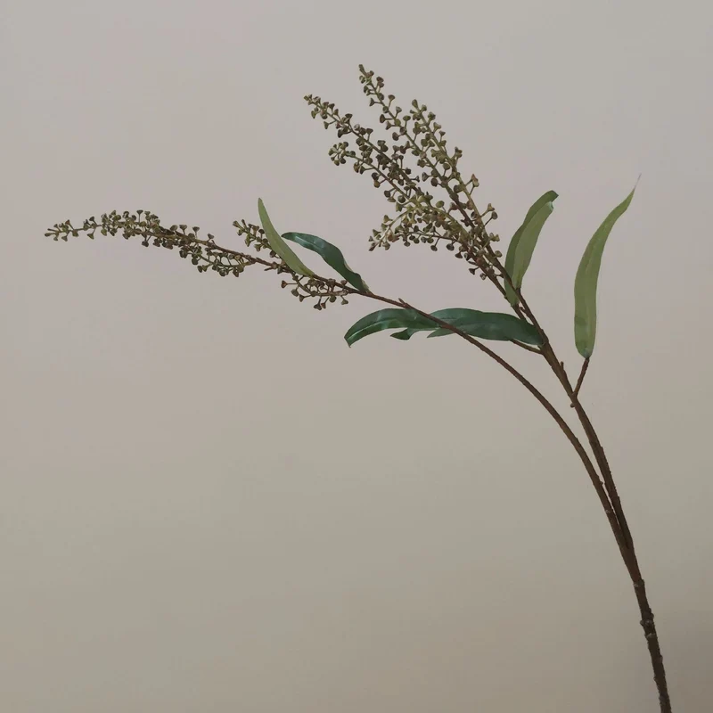 Dekorative Botanische Zweig
