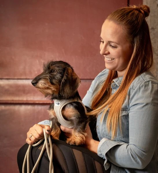 Curli Air-Mesh Vest Harness With Curli Clasp For Dogs