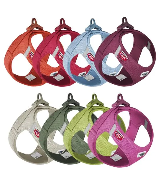 Curli Air-Mesh Vest Harness With Curli Clasp For Dogs