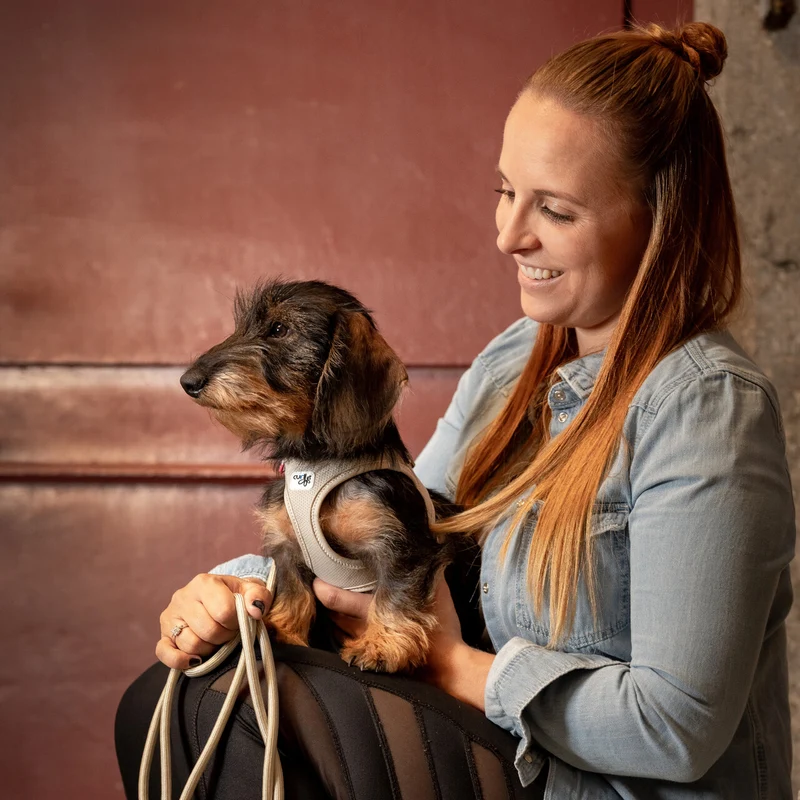 Curli Air-Mesh Vest Harness With Curli Clasp For Dogs