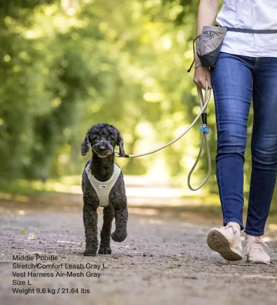 Curli Stretch Comfort Leash for Dogs
