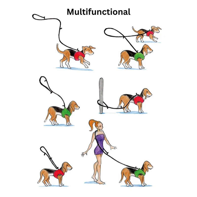 Curli Adjustable Nylon Leash for Dogs