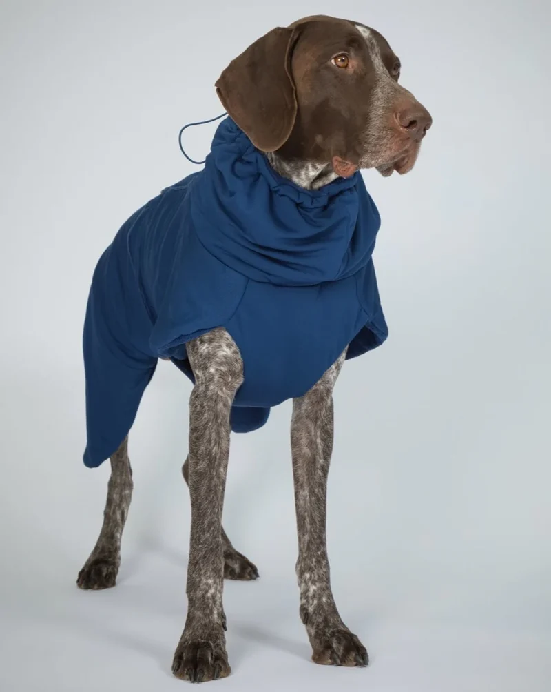 PAIKKA Drying Coat 2Go for Dogs