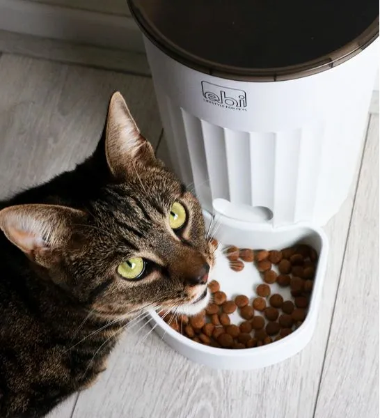 ebi Talakona Smart Feeder for Dogs & Cats 3L