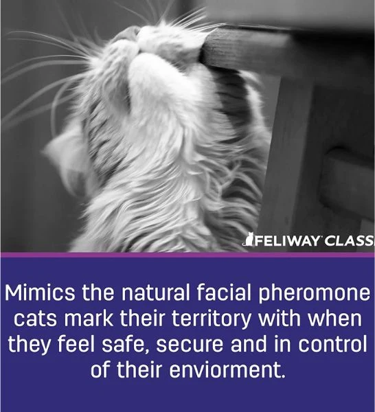 Feliway Classic Spray for Cats 60ml