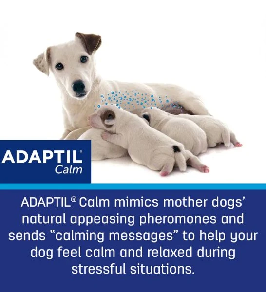 Adaptil Calm Refill for Dogs 48ml